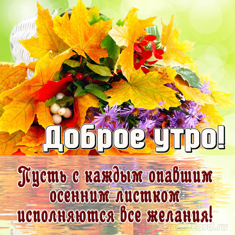 🍂🍁 ДОБРОЕ УТРО, ДРУЗЬЯ! ОТЛИЧНОГО ДНЯ! 🍁🍂 С добрым 