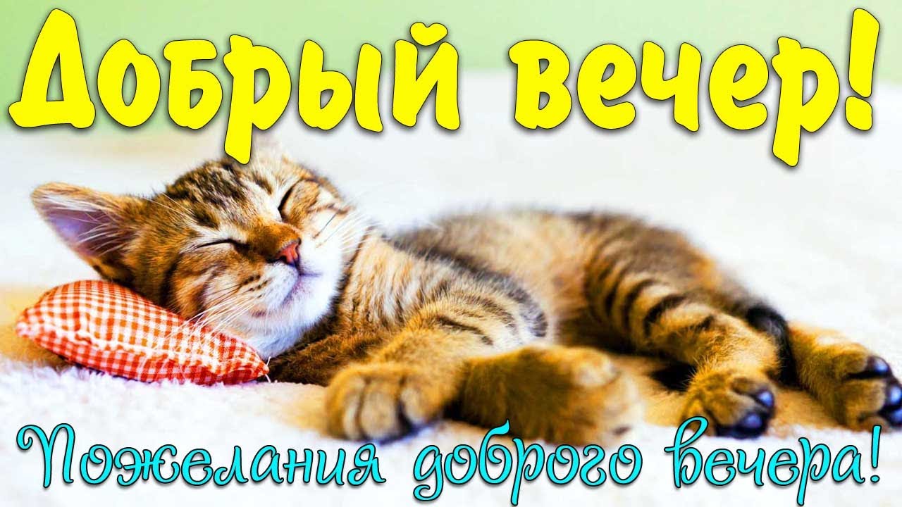 Добрый вечер!Добрым людям–добрый вечер,Пусть опустится на 