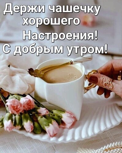 🌷Доброе утро, хорошего дня 