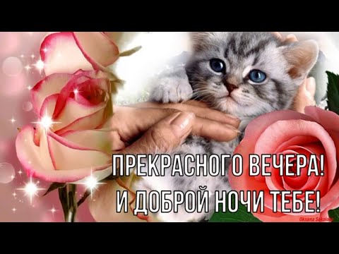 Добрый вечер картинки красивые 