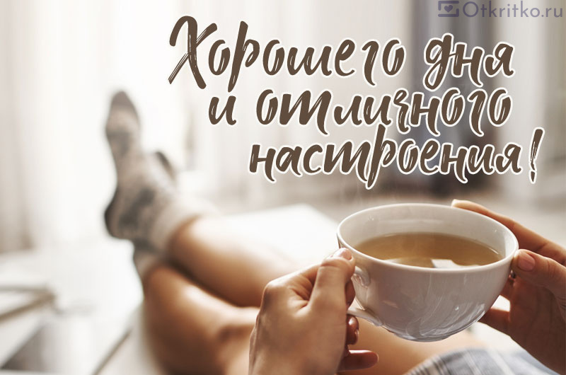 С добрым утром, друзья!🥰 Чудесного дня и отличного настроения!🥰