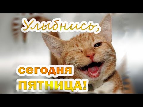 Доброе Утро Пятница Смешное 