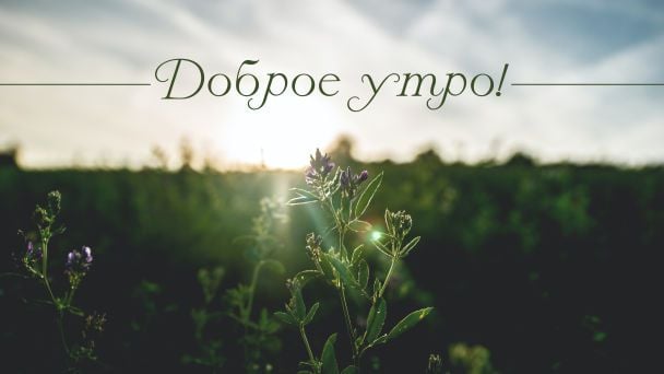 Доброе утро, друзья! Вдохновение на 14 