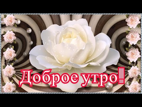 Доброе утро! Лучшие пожелания доброго утра и отличного дня 