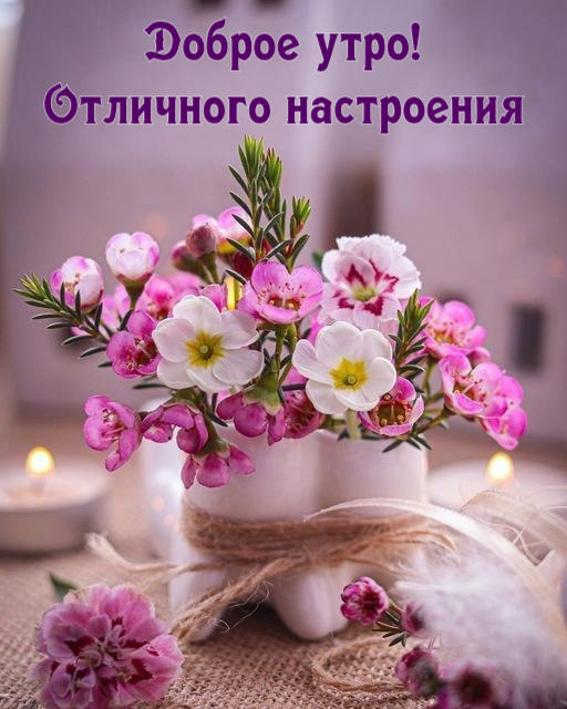 🌺🌿 ЯГОДКИ, ДОБРОЕ УТРО, ОТЛИЧНОГО ДНЯ! 🌿🌺 Доброго утра 