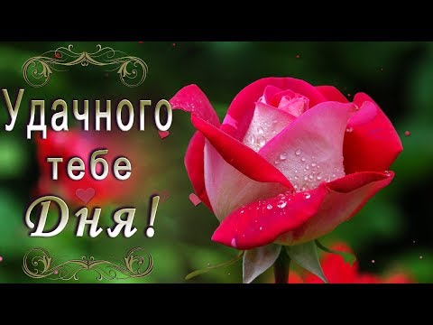 50 позитивных пожеланий с добрым утром 