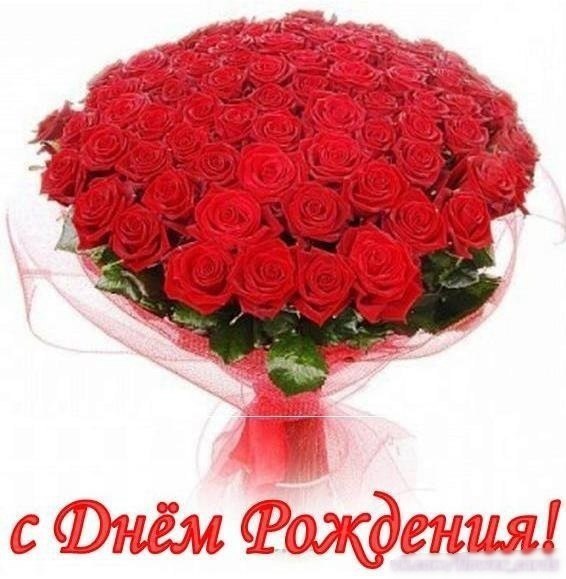 🌹Эти Розы Для Тебя!🌹Прекрасные 