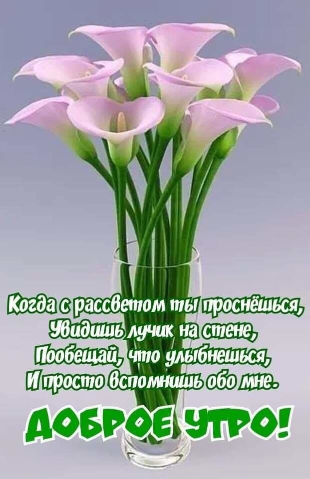 💗☕️Доброе Утро! Хорошего Дня!🌷Для Друзей! Заряд Позитива 