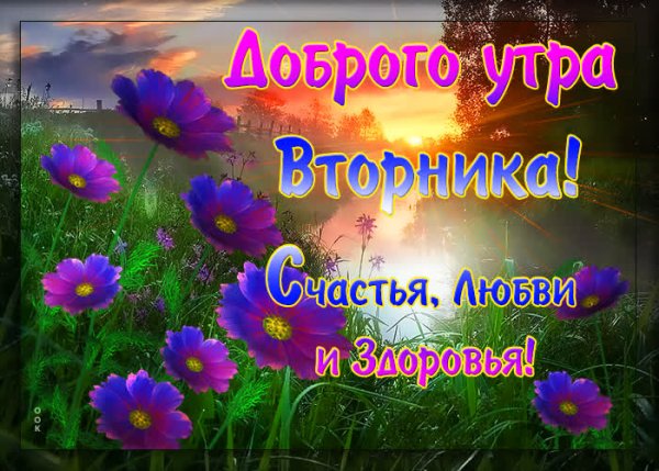 Открытка Доброе утро! Пусть этот 