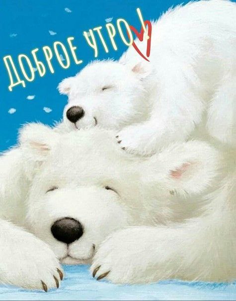 Доброе утро