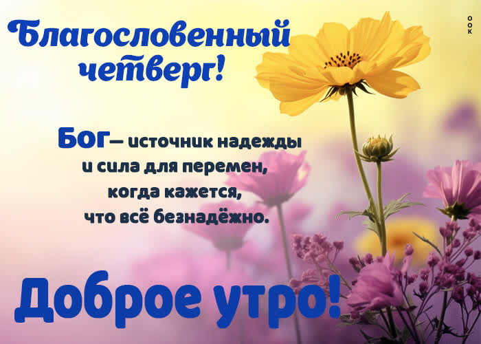 Вместо 1000 слов