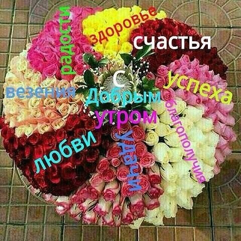 😃 Прекрасного доброго утра и хорошего настроения