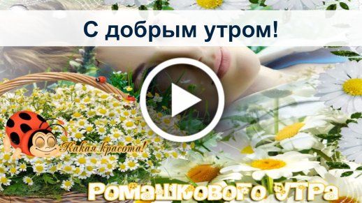 С ДОБРЫМ УТРОМ! ХОРОШЕГО ДНЯ! ШИКАРНЕЙШАЯ ОТКРЫТКА ПОЖЕЛАНИЕ 