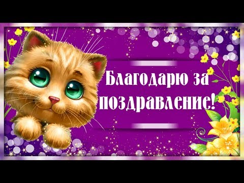 Морской гидрофизический институт 