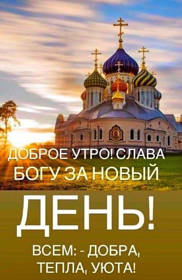 Мудрость жизни