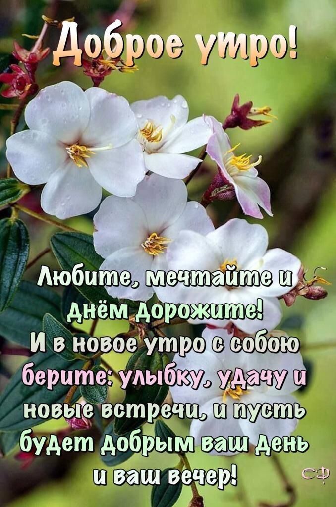 НОВОЕ, ДОБРОЕ УТРО !