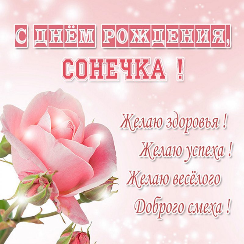 Смешные картинки С днем рождения соня 