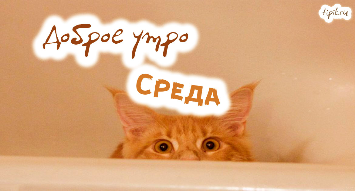 🌟 Среда