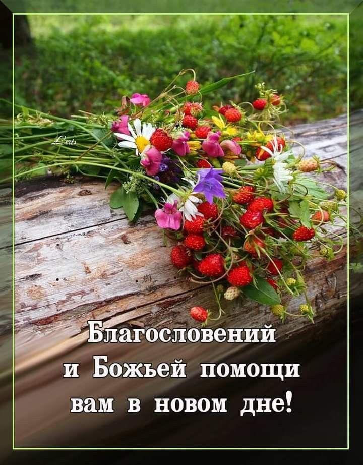 Вдохновение ДУШИ