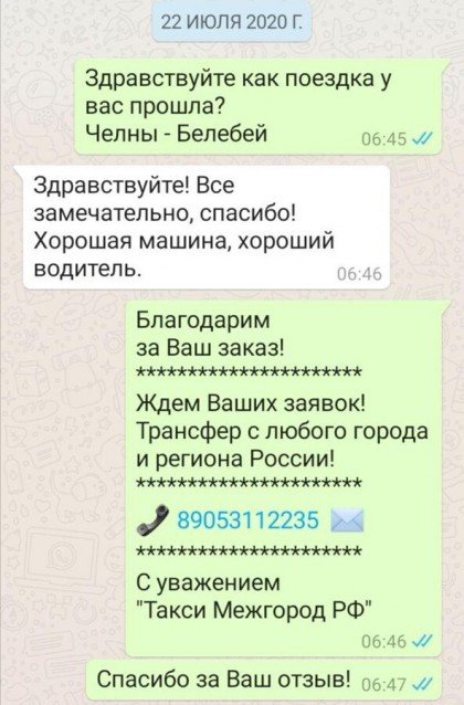 Купить Собаку Ваксон друг Кота Басика в магазине КотБасикСпб 