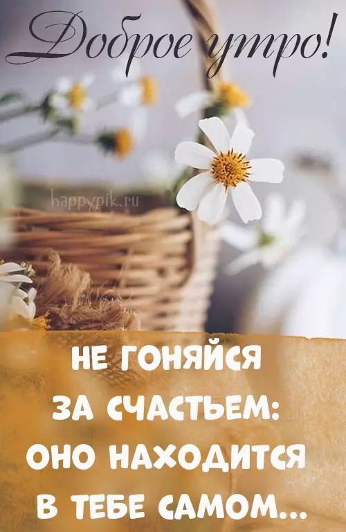 😃 Прикольные пожелания Доброго дня 