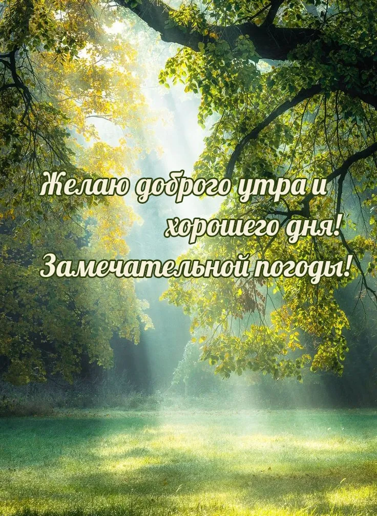 Доброе Утро Природа Лето 