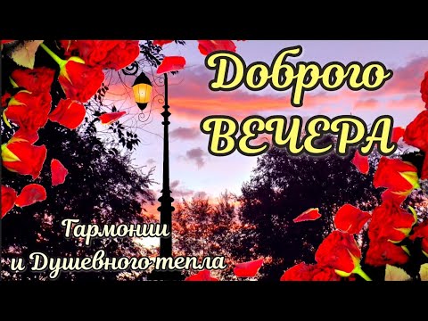 Хорошего вечера