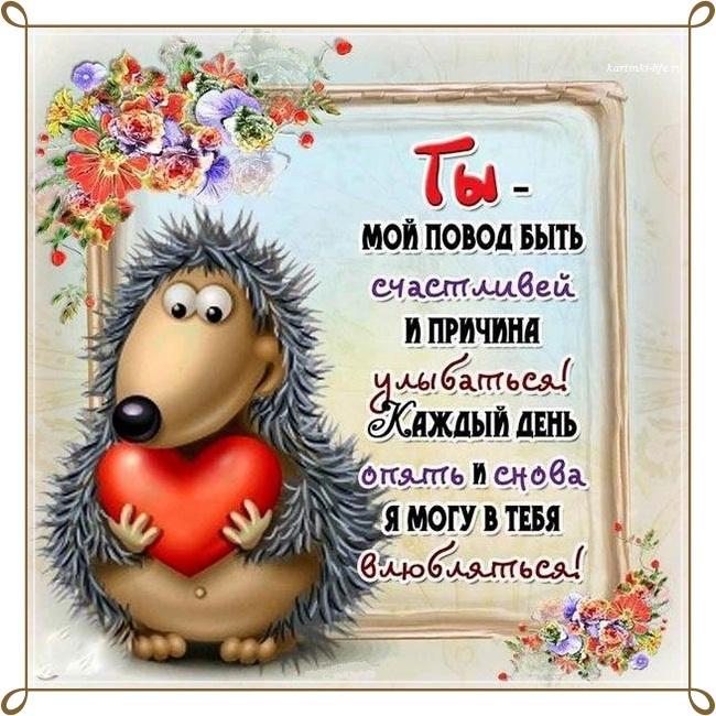 Милый-милый ёжик❤️ А ещё у моего любимого мужа сегодня ден 