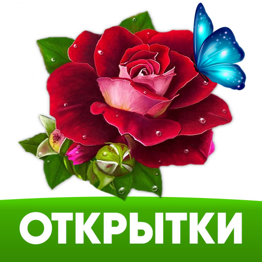 Открытки 