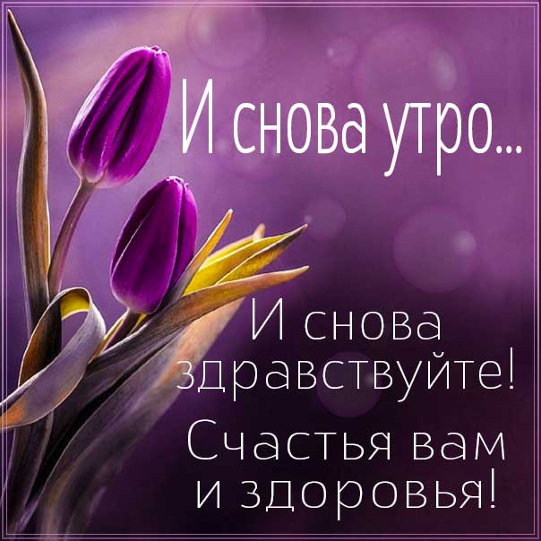 Доброе утро, друзья! Пусть у вас все будет хорошо!😊 #Ссср 