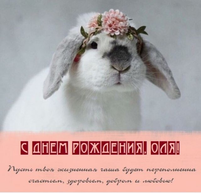 С Днём рождения,Ольга!