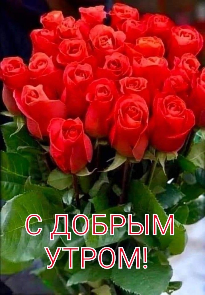 🌞 С добрым утром! 🌷 