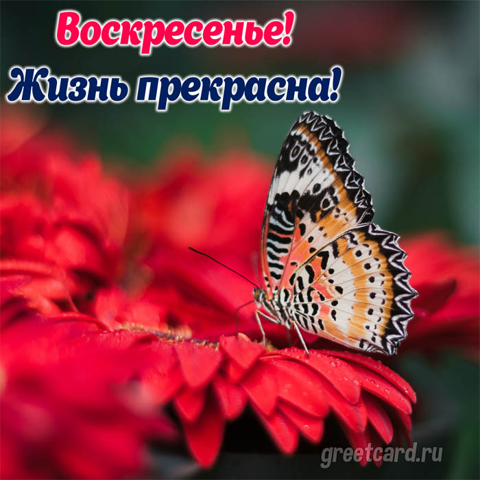 Воскресенье осень кофе