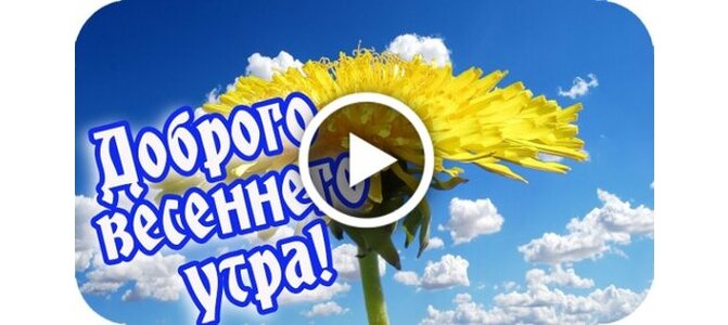 Картинки доброе утро весна красивые необычные с надписями 59 