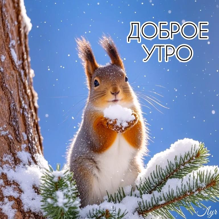 Доброе Утро Весна Но Снег Идёт 