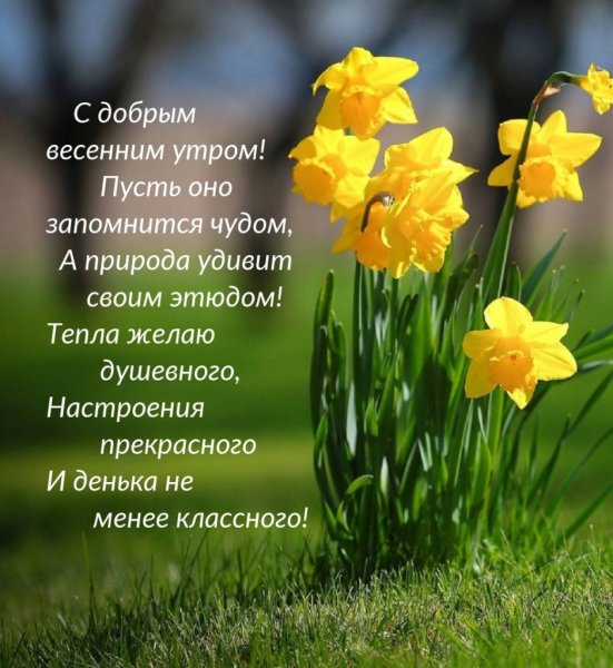 Доброе утро, друзья!🤗 А небо и воздух уже весенние!🌷🌷🌷 И 