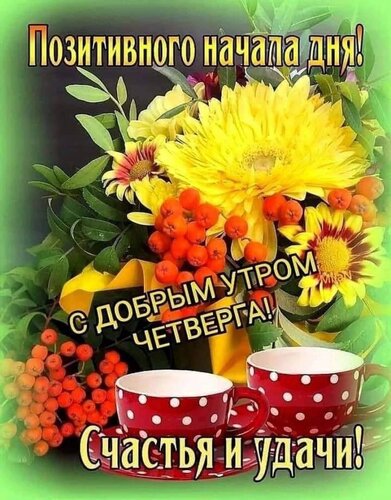 ЧЕТВЕРГ! С добрым утром, хорошим днём и вечером 🌺 