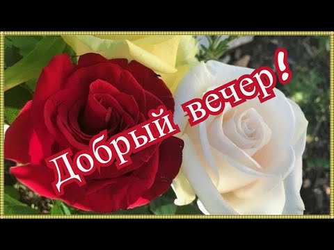 ♻️Добрый вечер!