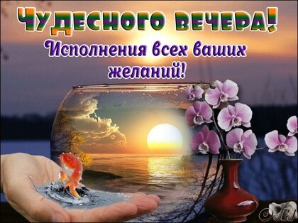 Картинки добрый вечер,спокойной ночи и