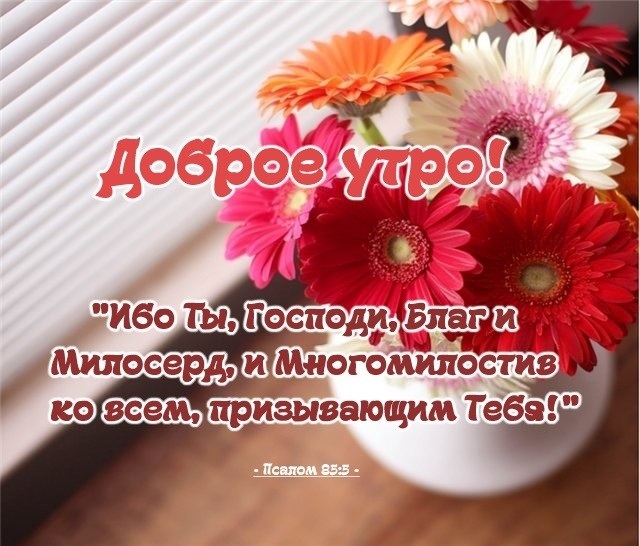 Доброе утро и благословенного дня! 90 