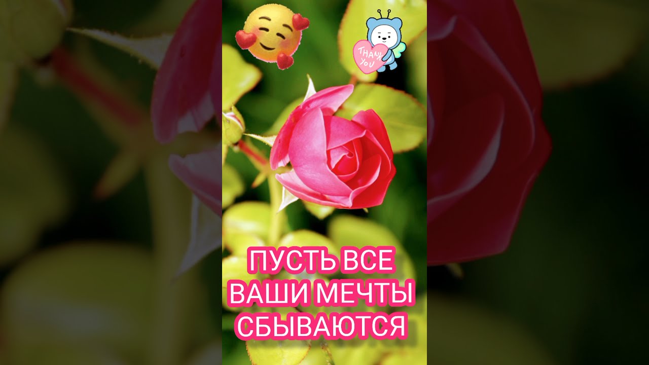 💌☀️😄 Картинки Хорошего дня