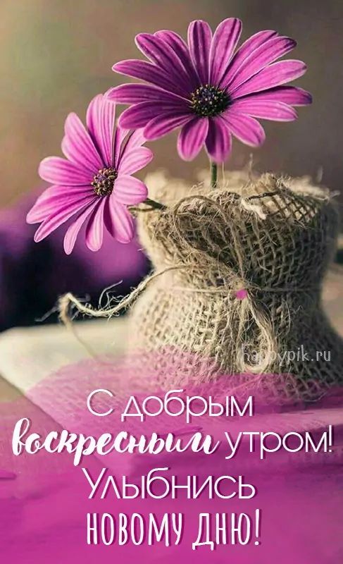 Доброе утро! Природные картинки и 