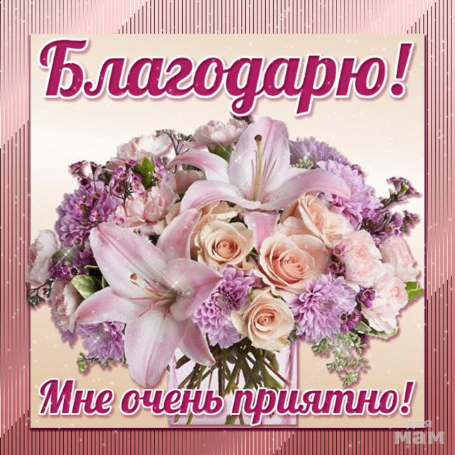 Благодарю❤❤❤ — 2 ответов 