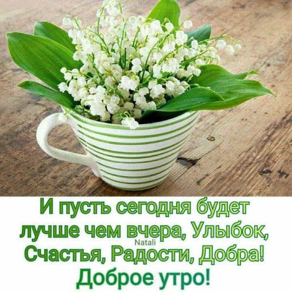 Прекрасной субботы! #лайкни #открытки 