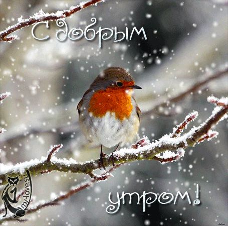 ❄️⛄😍 Картинки с добрым зимним утром 