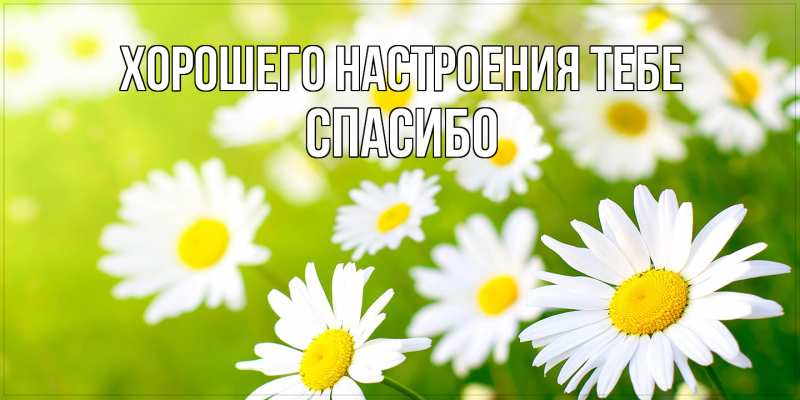 💗☕️Доброе Утро! Хорошего Дня!🌷Для Друзей! Заряд Позитива 