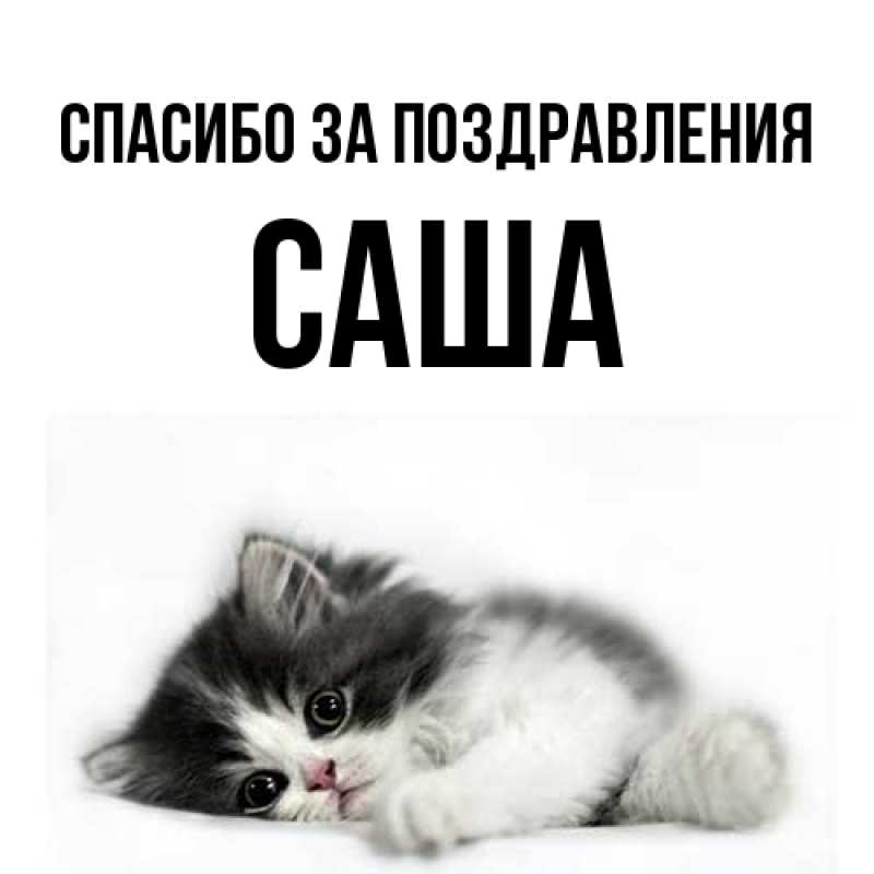 Международный день Спасибо! Саша За 