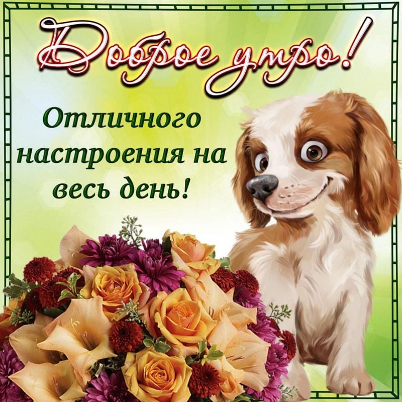 Доброе утро💖 Хорошего дня 😊💖