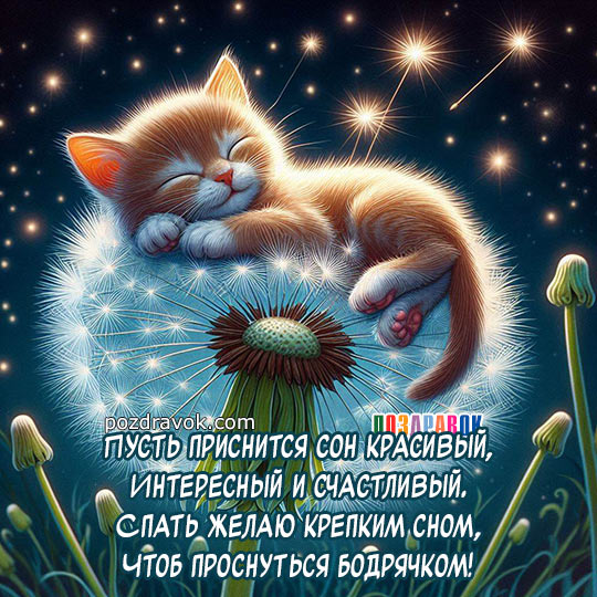 ❤️Спокойной ночи, ангел мой❤️ Мое 