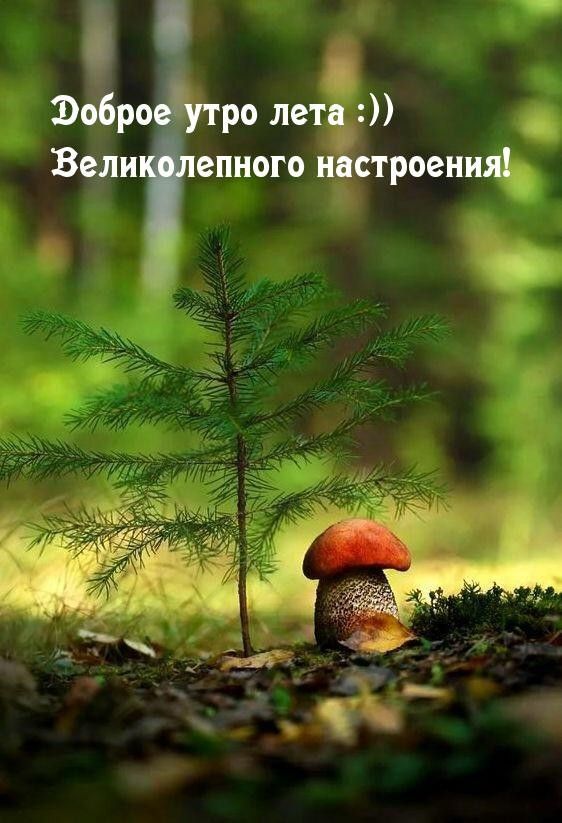 Доброе утро! #Природа 